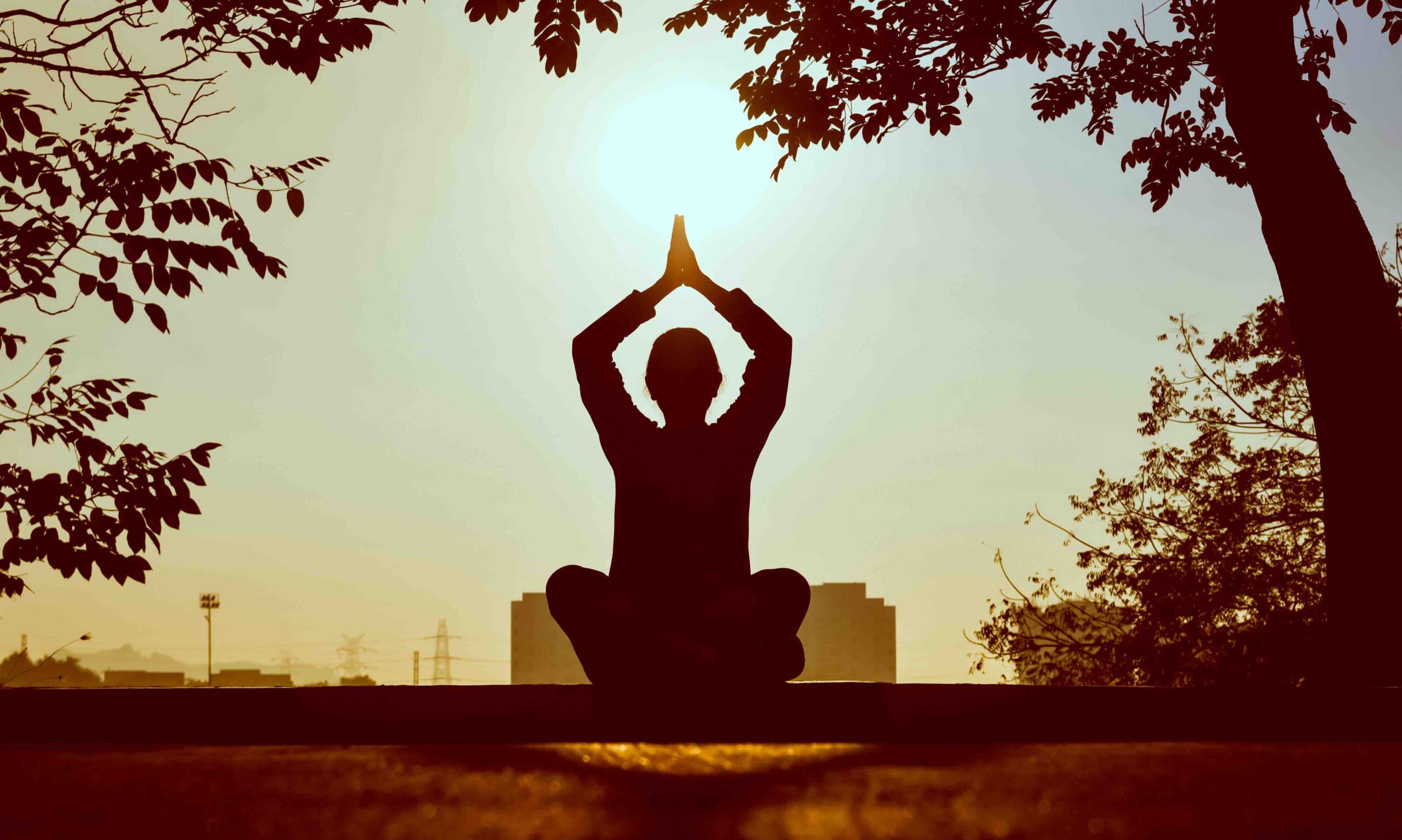 Women doing a yogo pose outdoors. (Wallet-Friendly Health Options for Women in London)